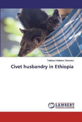 Civet husbandry in Ethiopia 1