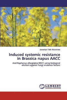 Induced systemic resistance in Brassica napus AACC 1