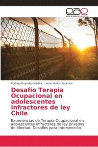 bokomslag Desafo Terapia Ocupacional en adolescentes infractores de ley Chile