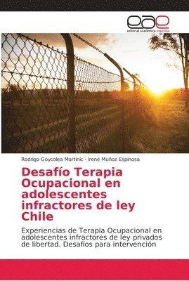 Desafo Terapia Ocupacional en adolescentes infractores de ley Chile 1