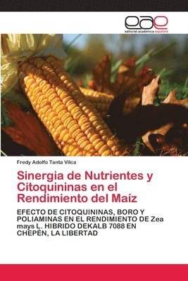 bokomslag Sinergia de Nutrientes y Citoquininas en el Rendimiento del Maz