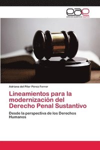 bokomslag Lineamientos para la modernizacion del Derecho Penal Sustantivo