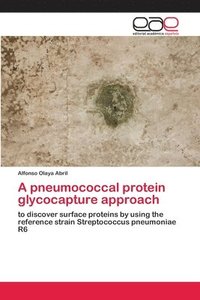 bokomslag A pneumococcal protein glycocapture approach