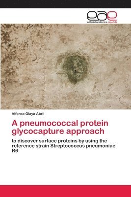 A pneumococcal protein glycocapture approach 1