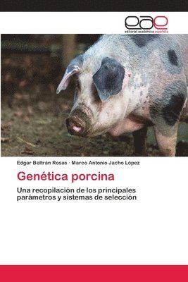 bokomslag Gentica porcina