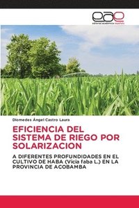 bokomslag Eficiencia del Sistema de Riego Por Solarizacion