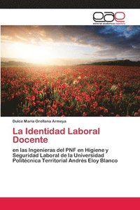 bokomslag La Identidad Laboral Docente