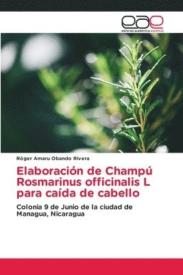 Elaboracin de Champ Rosmarinus officinalis L para cada de cabello 1