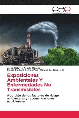 bokomslag Exposiciones Ambientales Y Enfermedades No Transmisibles