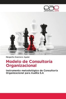 Modelo de Consultora Organizacional 1