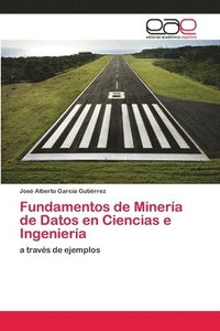 bokomslag Fundamentos de Mineria de Datos en Ciencias e Ingenieria