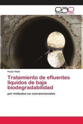 bokomslag Tratamiento de efluentes lquidos de baja biodegradabilidad