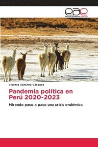 bokomslag Pandemia politica en Peru 2020-2023