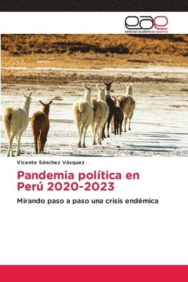 bokomslag Pandemia politica en Peru 2020-2023