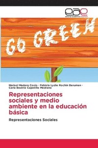 bokomslag Representaciones sociales y medio ambiente en la educacin bsica