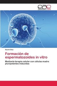 bokomslag Formacin de espermatozoides in vitro