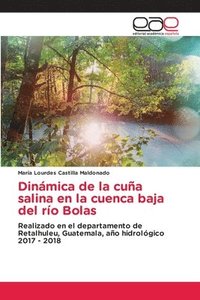 bokomslag Dinamica de la cuna salina en la cuenca baja del rio Bolas