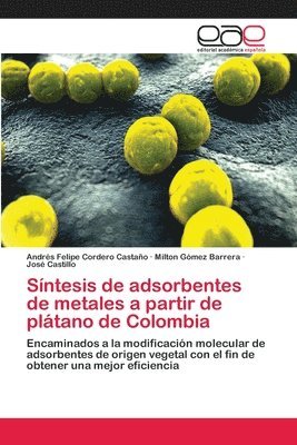 bokomslag Sntesis de adsorbentes de metales a partir de pltano de Colombia