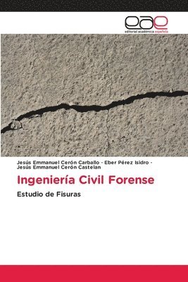 bokomslag Ingeniera Civil Forense