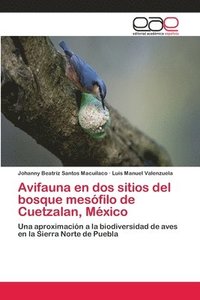 bokomslag Avifauna en dos sitios del bosque mesfilo de Cuetzalan, Mxico