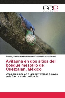 Avifauna en dos sitios del bosque mesfilo de Cuetzalan, Mxico 1