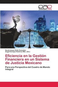 bokomslag Eficiencia en la Gestion Financiera en un Sistema de Justicia Mexicano