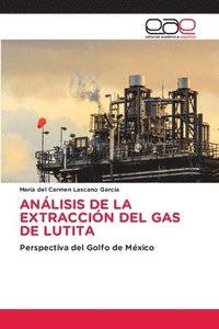 bokomslag Anlisis de la Extraccin del Gas de Lutita