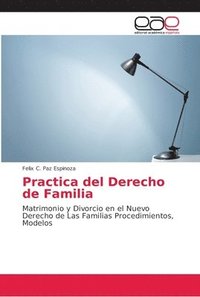 bokomslag Practica del Derecho de Familia