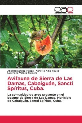 Avifauna de Sierra de Las Damas, Cabaigun, Sancti Spritus, Cuba. 1