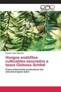 bokomslag Hongos endfitos cultivables asociados a taxus Globosa Schltdl