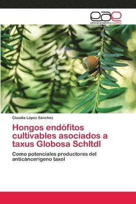 Hongos endfitos cultivables asociados a taxus Globosa Schltdl 1