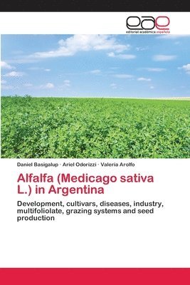 bokomslag Alfalfa (Medicago sativa L.) in Argentina