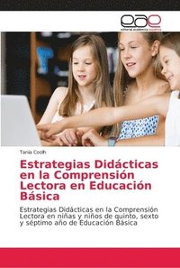 bokomslag Estrategias Didcticas en la Comprensin Lectora en Educacin Bsica