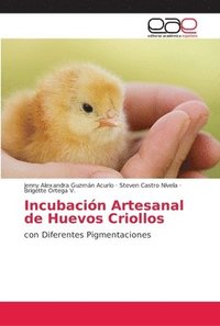 bokomslag Incubacin Artesanal de Huevos Criollos