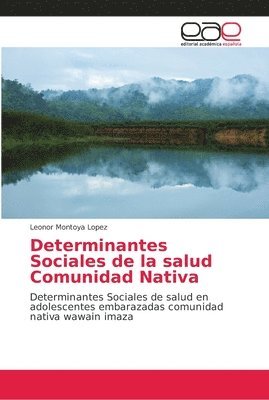 Determinantes Sociales de la salud Comunidad Nativa 1