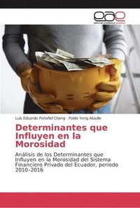 bokomslag Determinantes que Influyen en la Morosidad