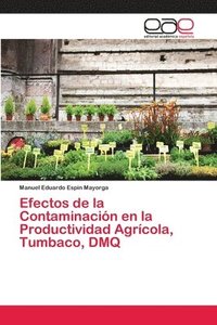 bokomslag Efectos de la Contaminacin en la Productividad Agrcola, Tumbaco, DMQ