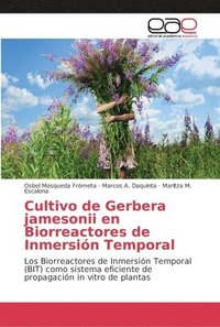 bokomslag Cultivo de Gerbera jamesonii en Biorreactores de Inmersin Temporal