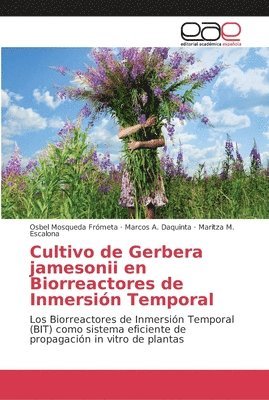 Cultivo de Gerbera jamesonii en Biorreactores de Inmersin Temporal 1