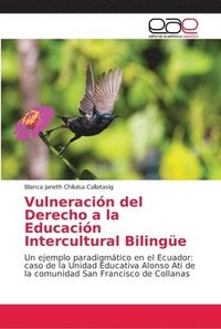bokomslag Vulneracin del Derecho a la Educacin Intercultural Bilinge