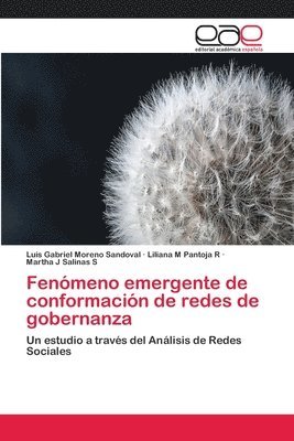 Fenmeno emergente de conformacin de redes de gobernanza 1