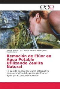 bokomslag Remocin de Flor en Agua Potable Utilizando Zeolita Natural