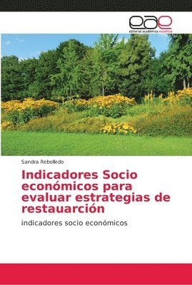 bokomslag Indicadores Socio econmicos para evaluar estrategias de restauarcin