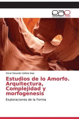 Estudios de lo Amorfo. Arquitectura, Complejidad y morfogenesis 1