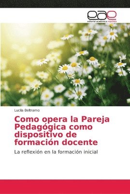 Como opera la Pareja Pedaggica como dispositivo de formacin docente 1