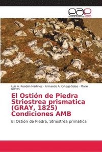 bokomslag El Ostin de Piedra Striostrea prismatica (GRAY, 1825) Condiciones AMB