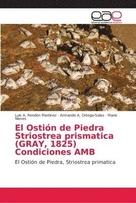 El Ostin de Piedra Striostrea prismatica (GRAY, 1825) Condiciones AMB 1