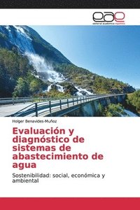 bokomslag Evaluacin y diagnstico de sistemas de abastecimiento de agua