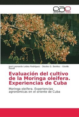 Evaluacin del cultivo de la Moringa Oleifera 1