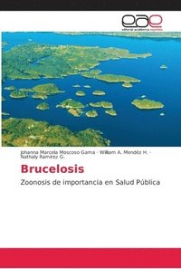 bokomslag Brucelosis